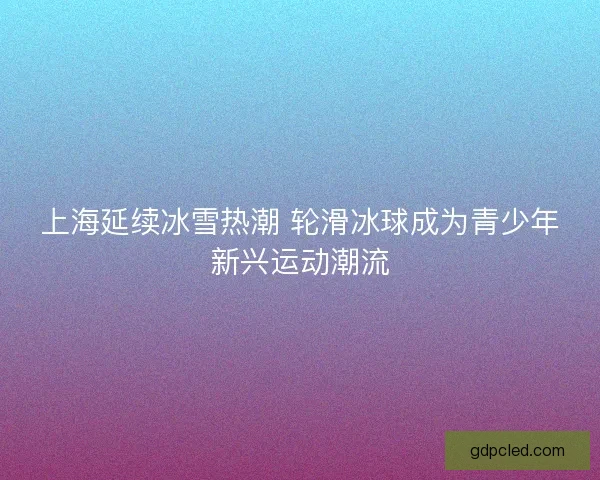 上海延续冰雪热潮 轮滑冰球成为青少年新兴运动潮流